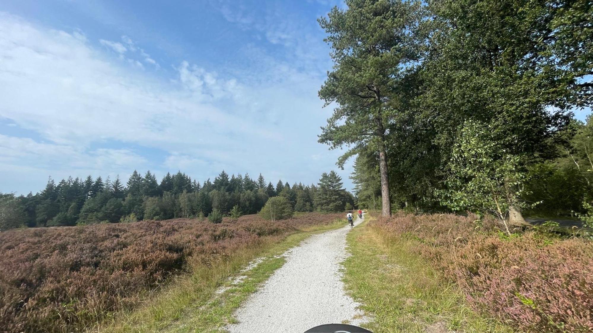 IJhorstSayang26 Gezellige Gezinsvriendelijke Stacaravan Op Familiecamping De Vossenburcht In Natuurgebied Reestdal - No Workers Allowed别墅 外观 照片